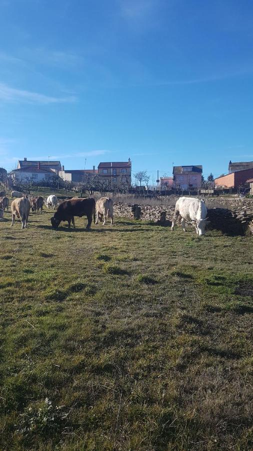 Albergue Agustina Samir de los Canos Eksteriør billede